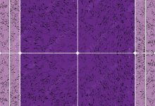 Photo of Советы по выбору плитки