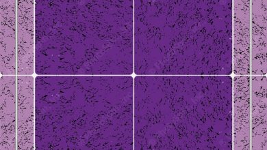 Photo of Советы по выбору плитки